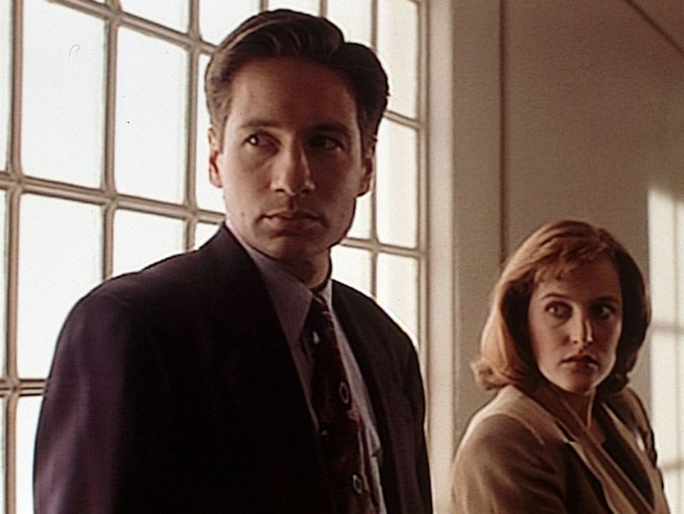 Fassungslos müssen Mulder (David Duchovny, l.) und Scully (Gillian Anderson, r.) miterleben, wie der Mutantenmörder Tooms von einem Gericht auf Be... - Bildquelle: TM +   2000 Twentieth Century Fox Film Corporation. All Rights Reserved.