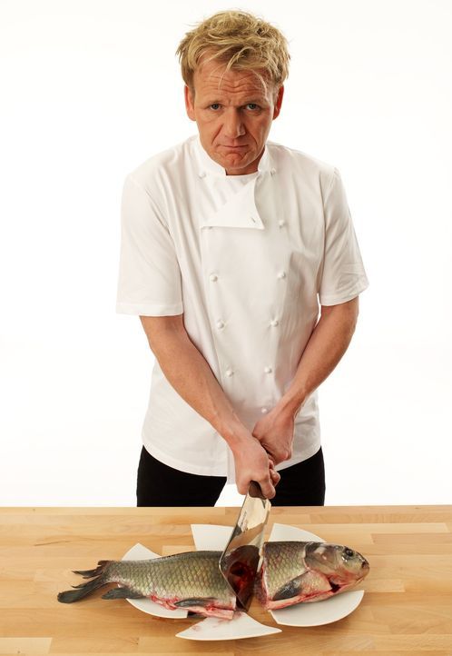 Setzt all sein Wissen und seine Erfahrung ein, um schlecht laufende Restaurants aus der Krise zu retten: Sternekoch Gordon Ramsay - Bildquelle: George Holz Fox Broadcasting.  All rights reserved.