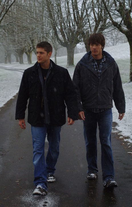 Sam (Jared Padalecki, r.) und Dean (Jensen Ackles, l.) gehen mysteriösen Morden nach ... - Bildquelle: Warner Bros. Television