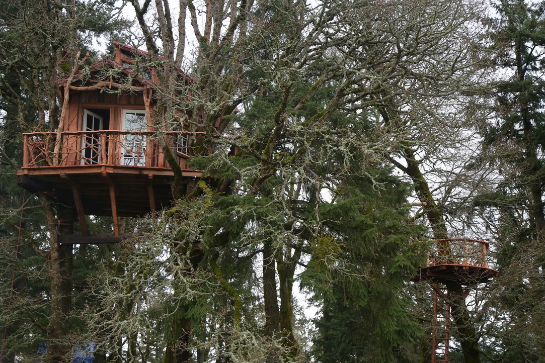 Die Baumhaus-Profis reisen durchs Land, um für Naturliebhaber maßgeschneiderte Baumhäuser zu bauen. Dieses Mal erschaffen sie in Oregon City in Oreg... - Bildquelle: 2015, DIY Network/Scripps Networks, LLC. All Rights Reserved.