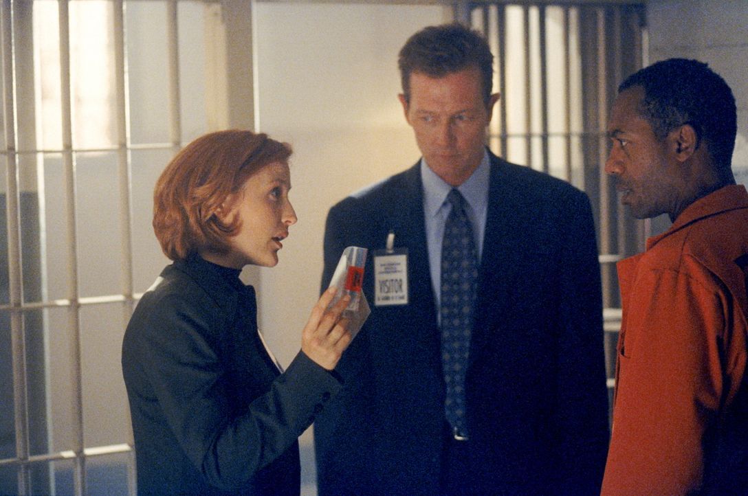 Scully (Gillian Anderson, l.) und Doggett (Robert Patrick, M.) halten den Staatsanwalt Martin Wells (Joe Morton, r.) für den Mörder seiner Frau. - Bildquelle: TM +   2000 Twentieth Century Fox Film Corporation. All Rights Reserved.