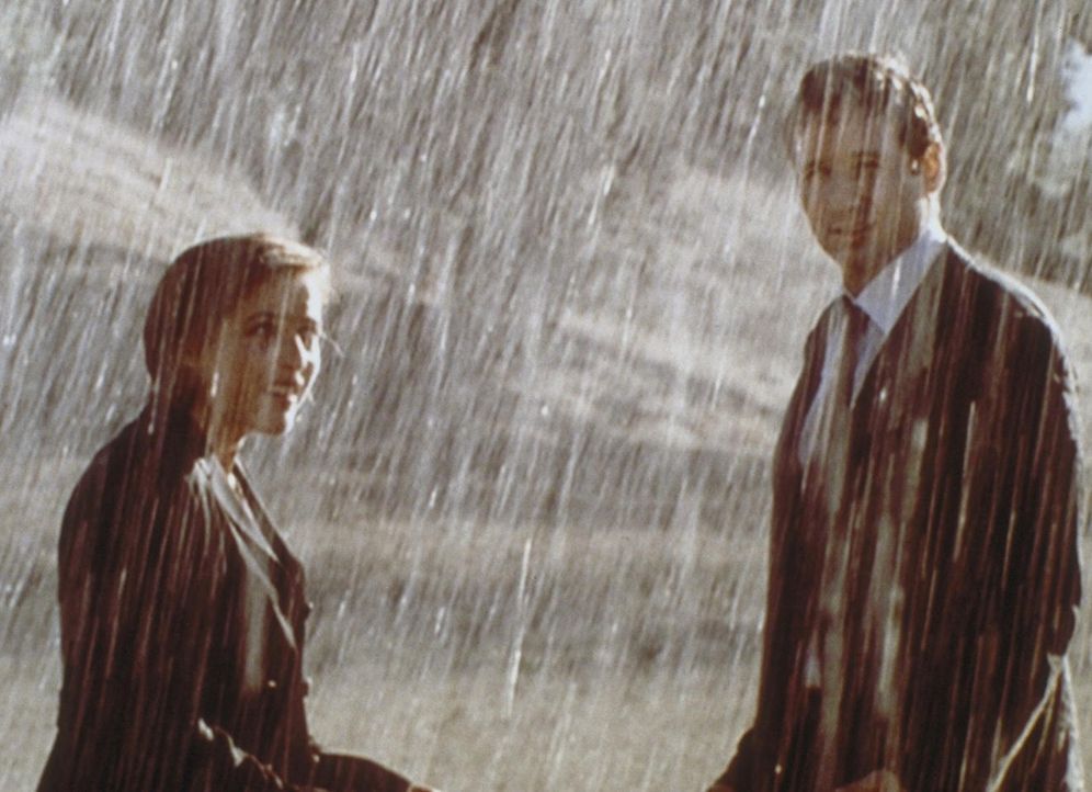 Scully (Gillian Anderson, l.) und Mulder (David Duchovny) bezweifeln, dass Menschen das Wetter beeinflussen können. Doch ein "Regenmacher" belehrt e... - Bildquelle: TM +   2000 Twentieth Century Fox Film Corporation. All Rights Reserved.