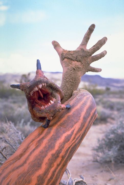 Die Bewohner eines Dörfchens in der Wüste von Nevada werden von gefräßigen Monsterwürmern bedroht. Werden sie sich retten können? - Bildquelle: © 1990 Universal City Studios Inc. All rights reserved