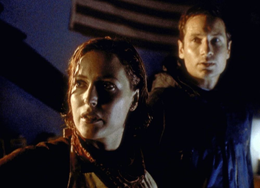 Scully (Gillian Anderson, l.) und Mulder (David Duchovny, r.) werden während eines Wirbelsturms in Florida mit einem Ungeheuer konfrontiert, das aus... - Bildquelle: TM +   2000 Twentieth Century Fox Film Corporation. All Rights Reserved.