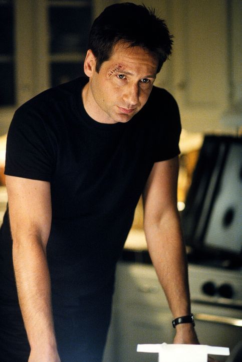 Doggett wird von Mulder (David Duchovny) auf einen Großbrand bei der Firma "Zeus Genetics" aufmerksam gemacht, bei dem vielleicht ein Mord vertuscht... - Bildquelle: TM +   2000 Twentieth Century Fox Film Corporation. All Rights Reserved.