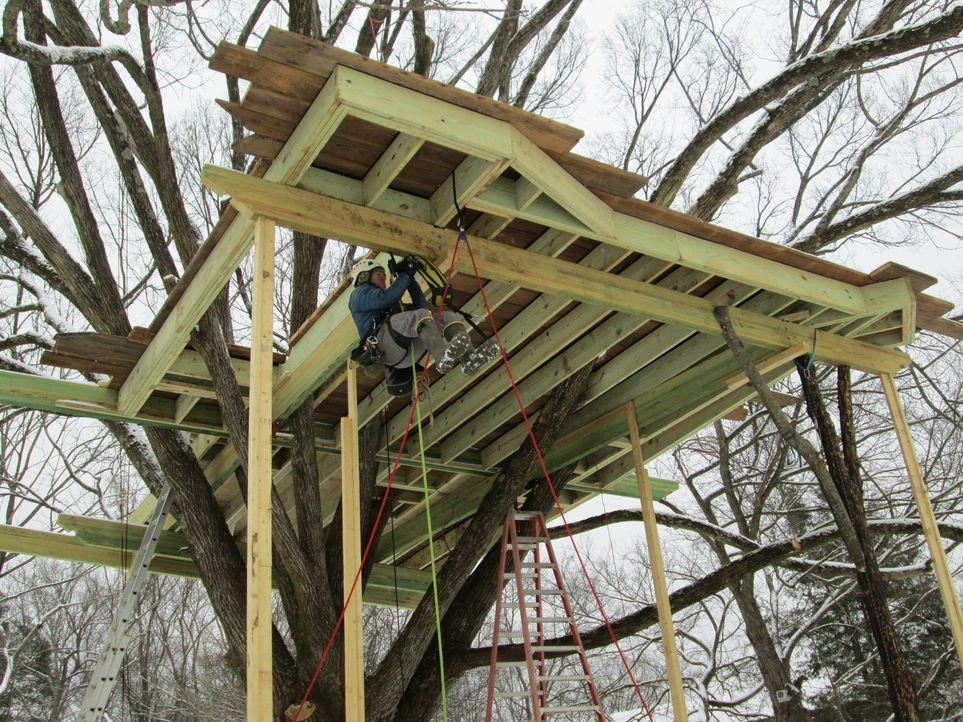 Eine der herausforderndsten Aufgaben, die die Treehouse Guys bisher hatten: Wo in den 20er Jahren Charles Lindbergh landete, sollen nun die Baumhaus... - Bildquelle: 2016,DIY Network/Scripps Networks, LLC. All Rights Reserved.