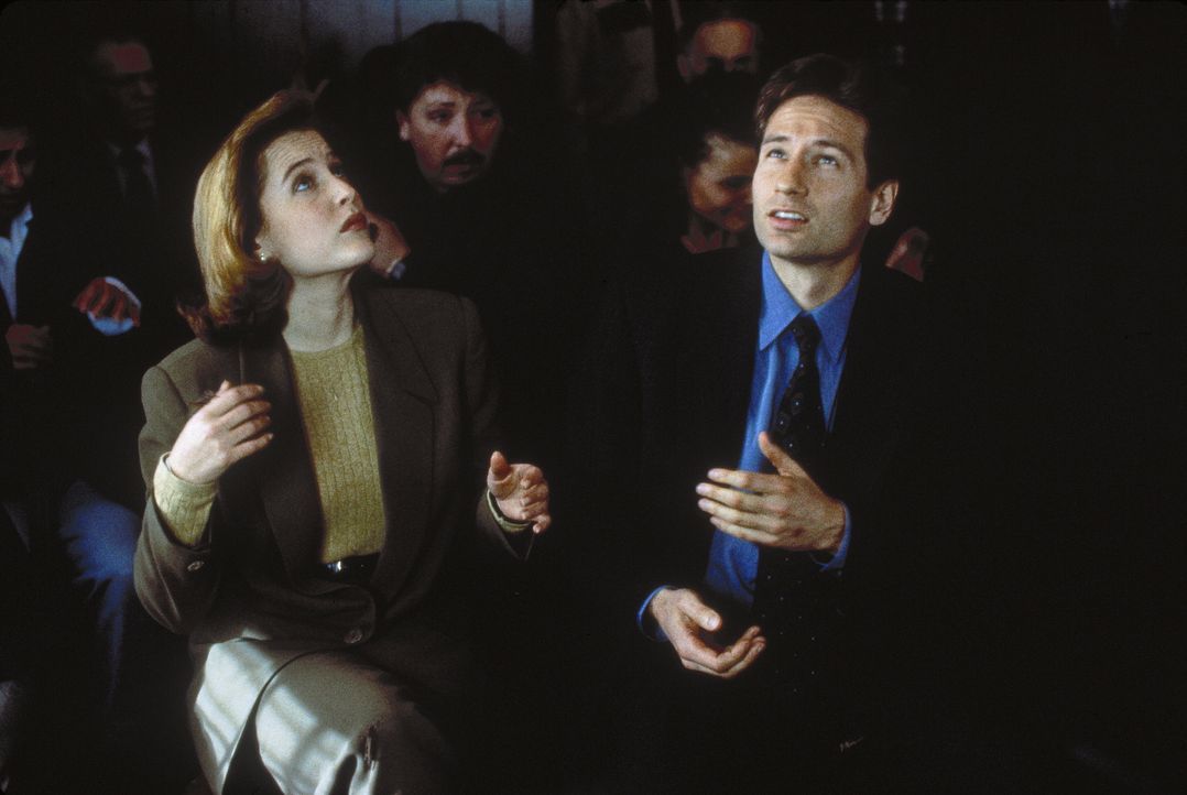 Mulder (Davis Duchovny, r.) und Scully (Gillian Anderson, l.) stellen fest, dass die biblische Heuschreckenplage einen sehr irdischen Hintergrund ha... - Bildquelle: TM +   Twentieth Century Fox Film Corporation. All Rights Reserved.