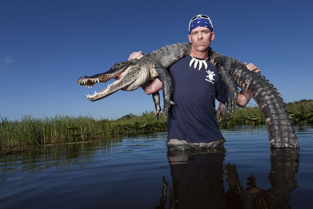 (1. Staffel) - Gator Boy Paul Bedard kümmert sich um Krokodile, die sich an ungewöhnliche Orte verirrt haben und um deren Schutz vor Wilderern ... - Bildquelle: Bob Croslin 2011 Discovery Communications