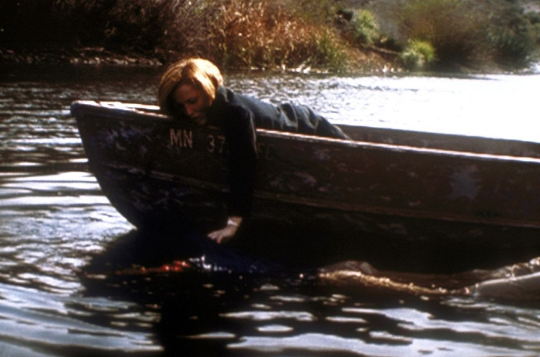 Scully (Gillian Anderson, r.) versucht, ihren Kontaktmann Cobra (Timothy Landfield, l.) aus dem Wasser zu fischen. - Bildquelle: TM +   2000 Twentieth Century Fox Film Corporation. All Rights Reserved.