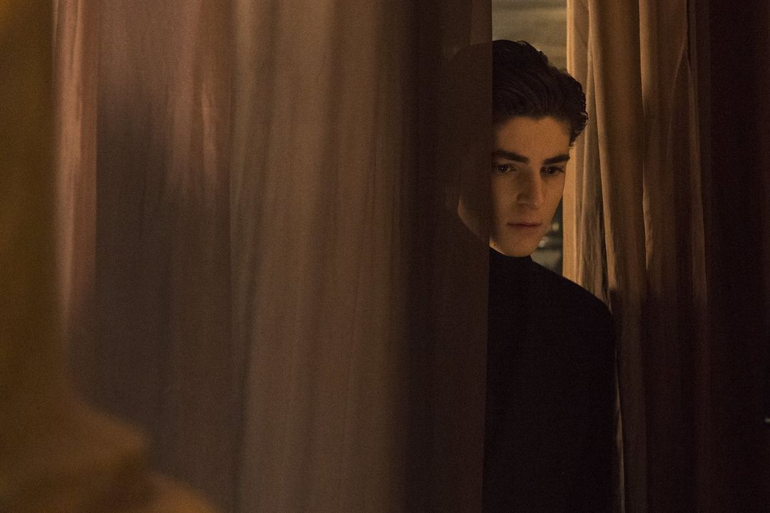 Bruce (David Mazouz) macht einen Schritt auf seinen alten Butler zu. Unterdessen versucht Selina, die Dinge mit Ivy allein zu regeln ... - Bildquelle: 2017 Warner Bros.