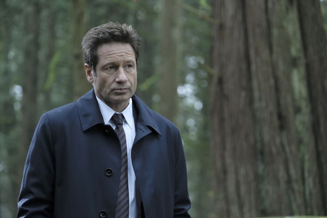 Als Mulder (David Duchovny) und Scully einem Hinweis auf Skinners Verbleib nachgehen, treffen sie in Kentucky auf einen Obdachlosen, der ihnen ständ... - Bildquelle: Eric Millner 2018 Fox and its related entities. All rights reserved. / Eric Millner
