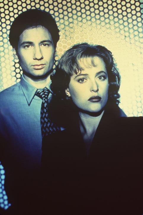 (1. Staffel) - Die FBI-Agenten Fox Mulder (David Duchovny, l.) und Dana Scully (Gillian Anderson, r.) erforschen ungewöhnliche Phänomene. - Bildquelle: TM +   Twentieth Century Fox Film Corporation. All Rights Reserved.