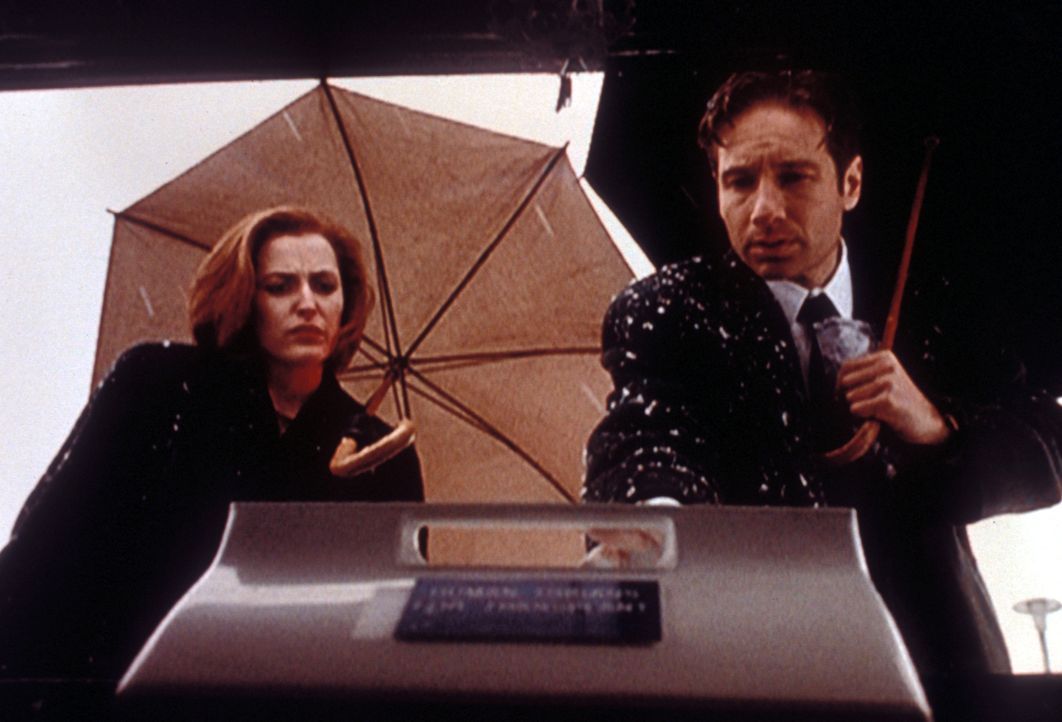 Scully (Gillian Anderson, l.) und Mulder (David Duchovny, r.) arbeiten fieberhaft an der Aufklärung mehrerer Mordfälle. - Bildquelle: TM +   2000 Twentieth Century Fox Film Corporation. All Rights Reserved.