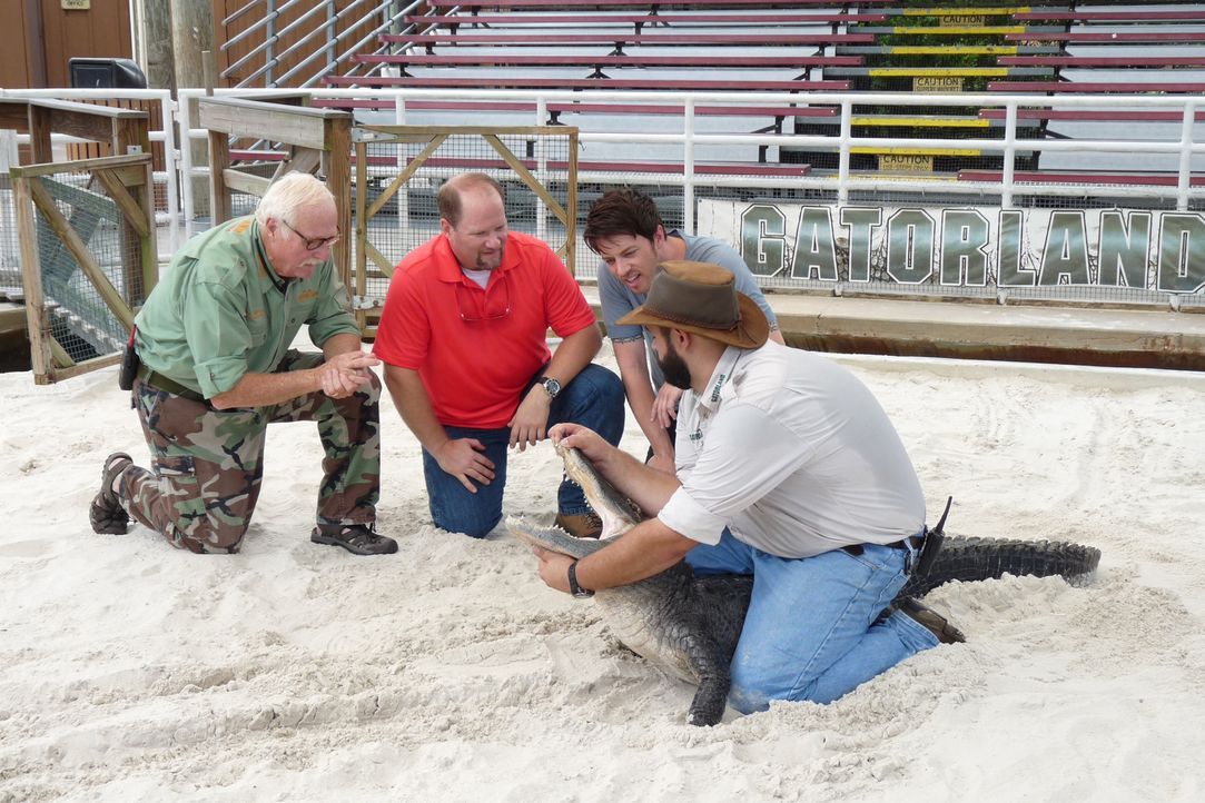 Gemeinsam mit Freizeitpark-Fan Charles (2.v.l.) testet J.D. Scott (2.v.r.) den Reptilien-Tierpark Gatorland in Florida und kommt dort den aggressive... - Bildquelle: 2014,Great American Country/Scripps Networks, LLC. All Rights Reserved.