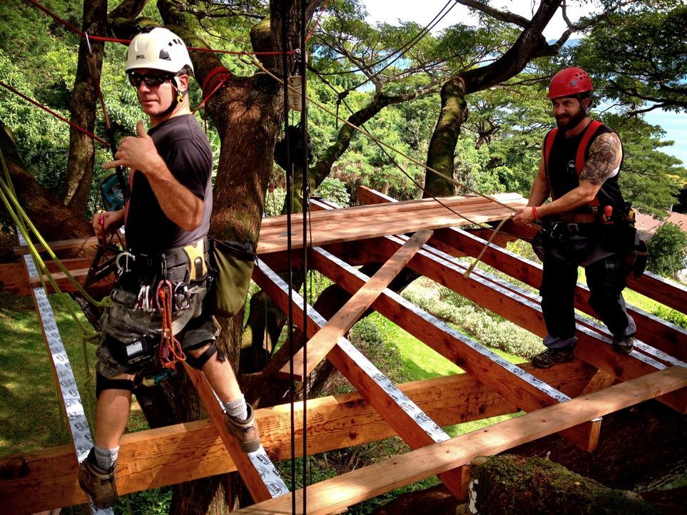 Für die Treehouse Guys ist kein Holz zu schwer und kein Baum zu hoch: Jason (l.) und Ka-V. - Bildquelle: 2014, DIY Network/Scripps Networks, LLC. All RIghts Reserved.