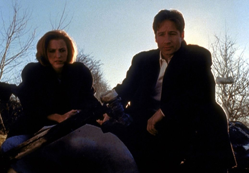 Scully (Gillian Anderson, l.) und Mulder (David Duchovny, r.) betrachten die Trümmer eines Hauses, das offenbar von einer Waffenplattform aus dem We... - Bildquelle: TM +   2000 Twentieth Century Fox Film Corporation. All Rights Reserved.