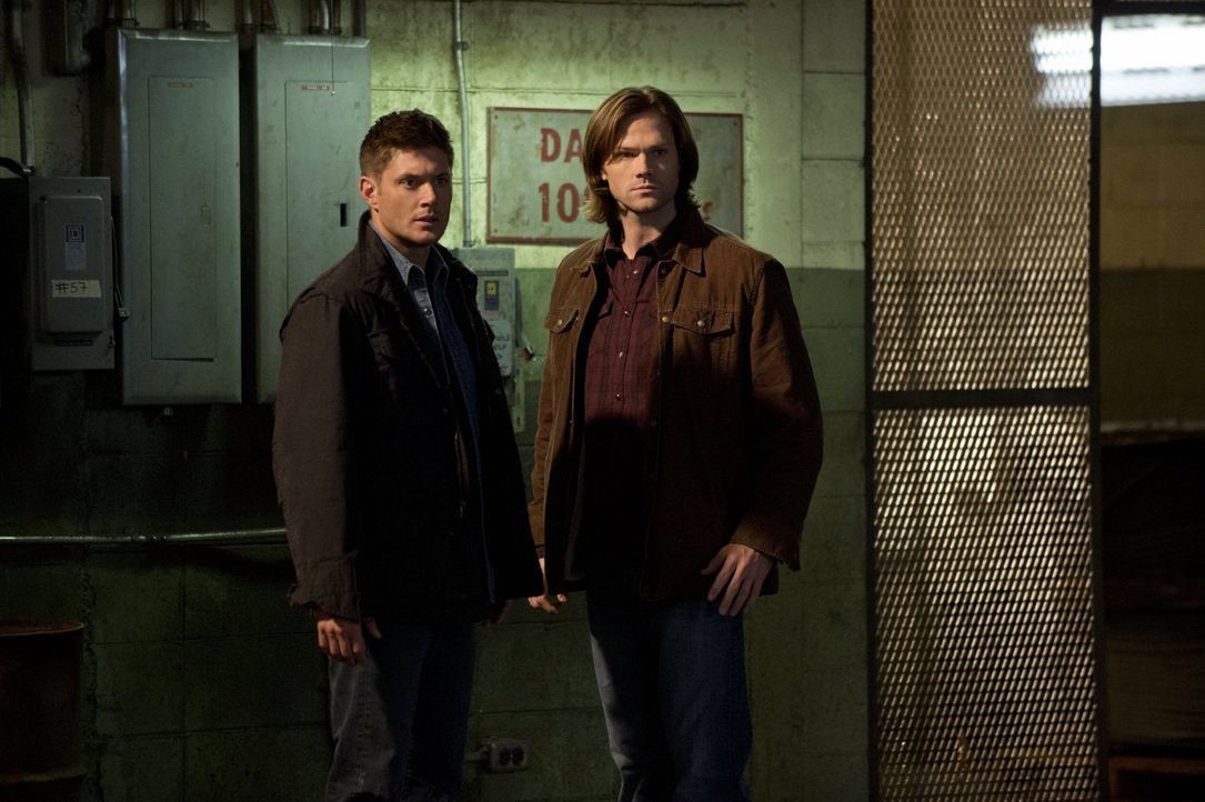 Als würden die Dämonen und Engel nicht schon genug Arbeit bedeuten, finden sich Sam (Jared Padaelcki, r.) und Dean (Jensen Ackles, l.) plötzlich zwi... - Bildquelle: Warner Bros. Television