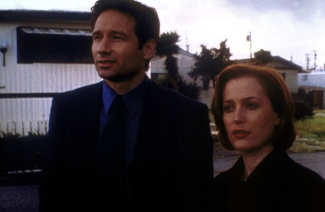 Scully (Gillian Anderson, r.) und Mulder (David Duchovny, l.) ermitteln in einem äußerst kuriosen Fall ... - Bildquelle: TM +   2000 Twentieth Century Fox Film Corporation. All Rights Reserved.