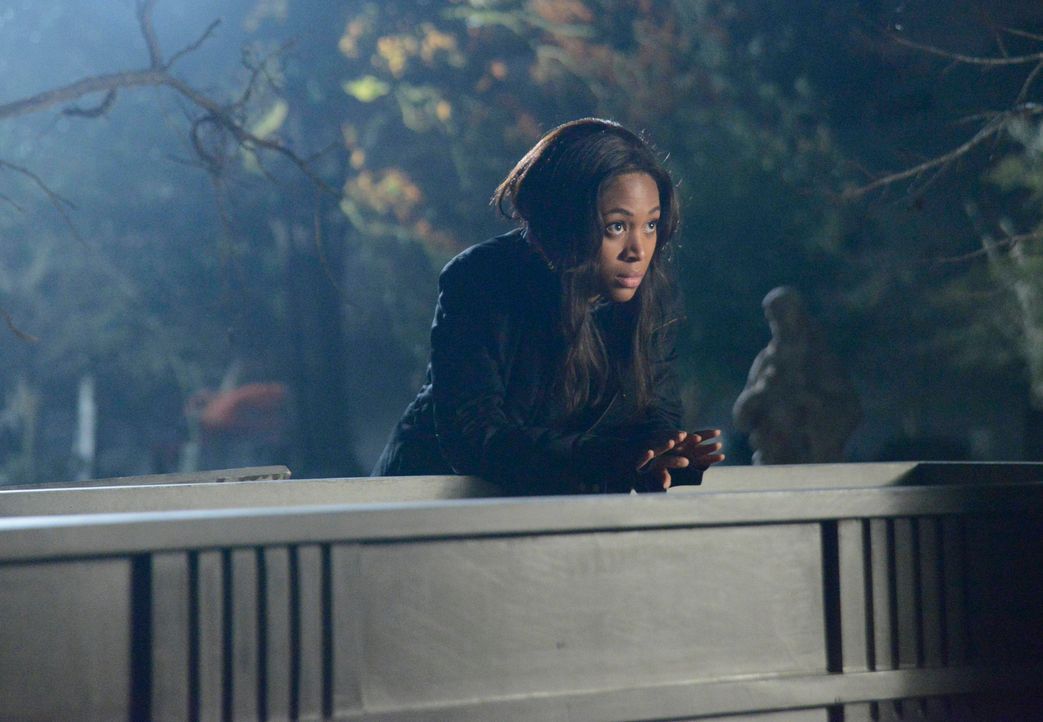 Abbie (Nicole Beharie) bekommt unerwarteten Besuch von Brooks. Er gesteht ihr seine Liebe und erzählt ihr, dass Moloch hinter Washingtons Bibel her... - Bildquelle: 2014 Twentieth Century Fox Film Corporation. All rights reserved.